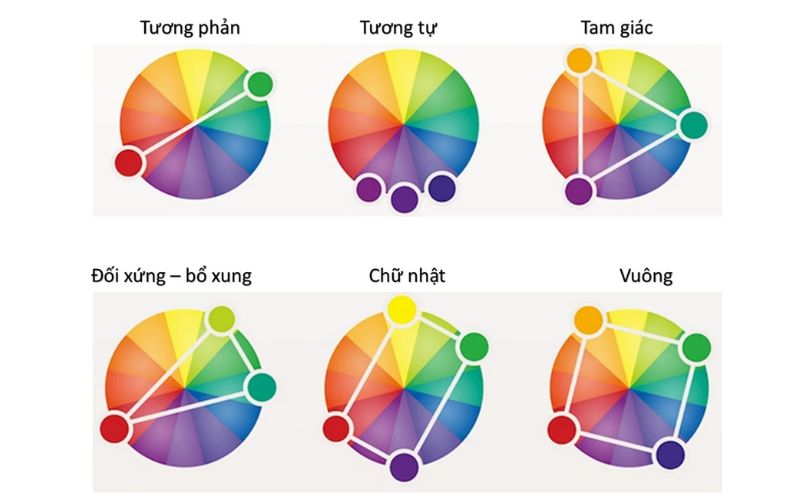 Bảng phối màu quần áo nam